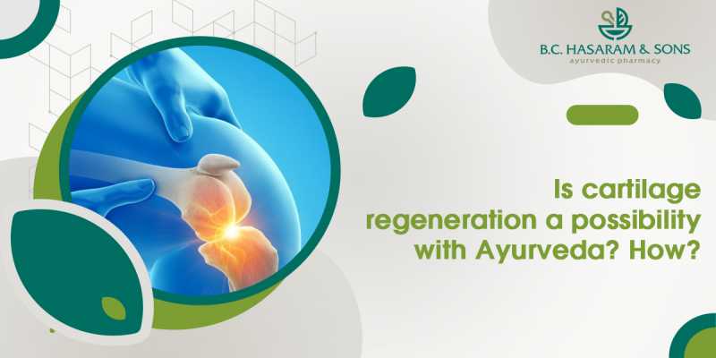 Cartilage regeneration ayurveda