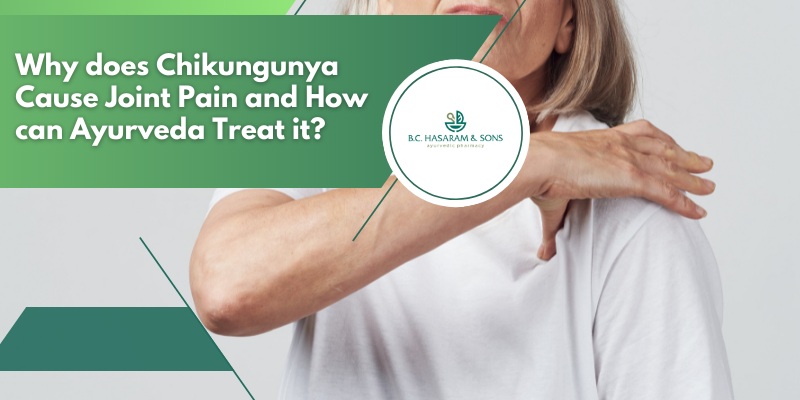 ayurvedic treatment for chikungunya joint pain