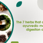 ayurvedic medicine for digestion and acidity